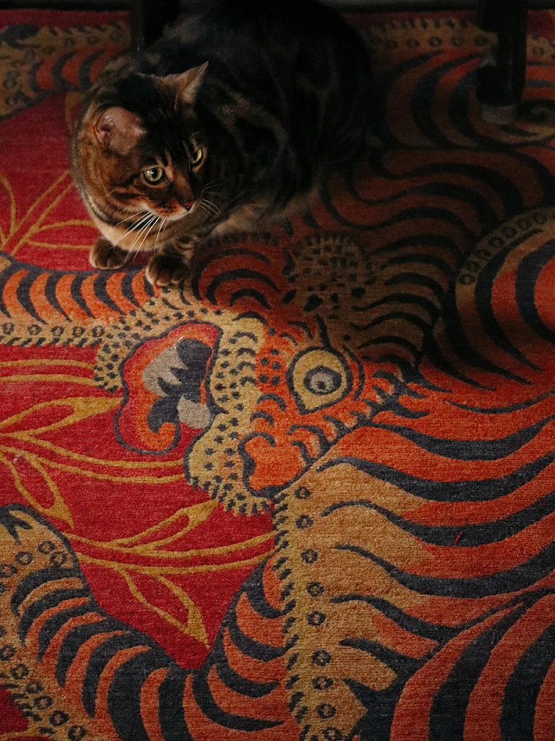 Blazing Tiger Flame Tibetan Wool Rug