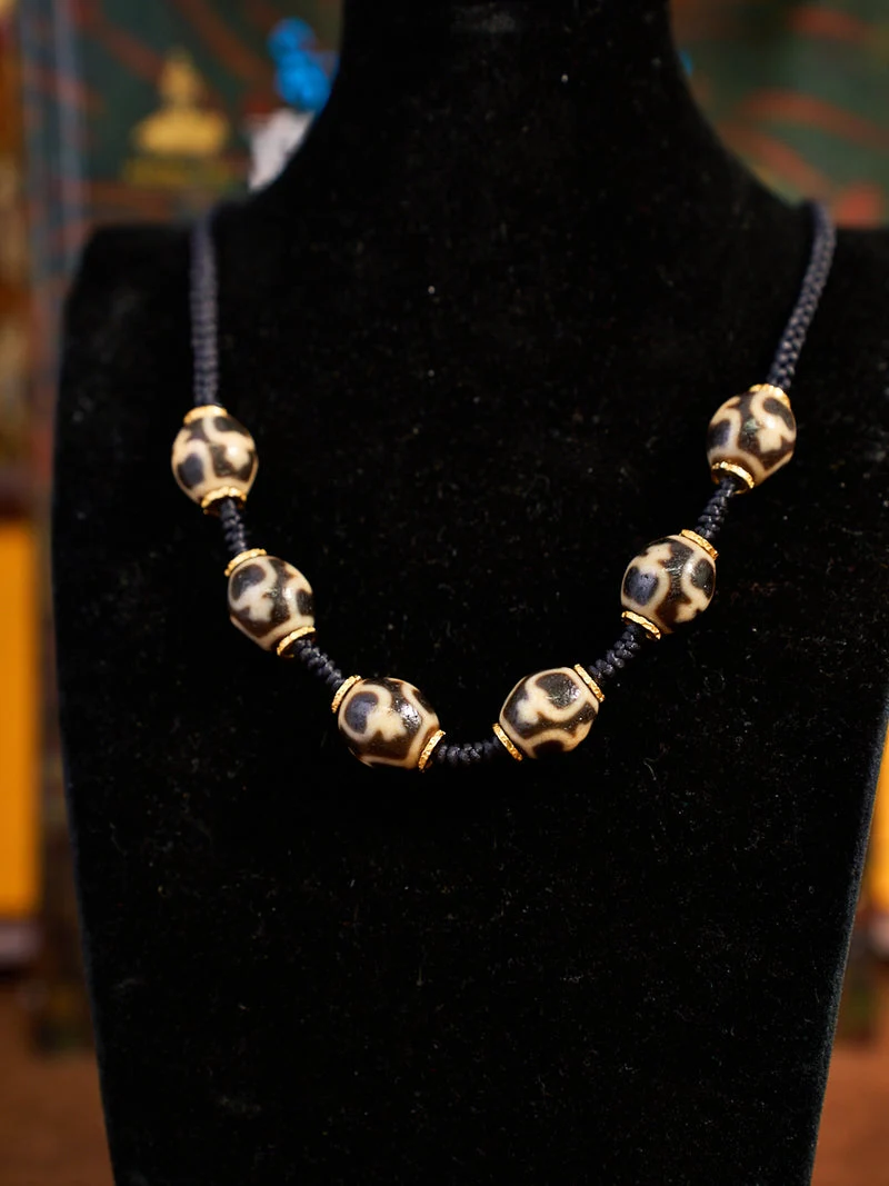 Patient Dazi Tortoise Cord Necklace